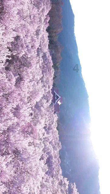 “龙”元素年货商品登陆各大商场 如何打造春节商品必买榜单？