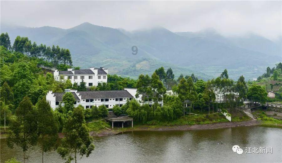 耳软骨垫鼻尖会吸收吗？游戏画面