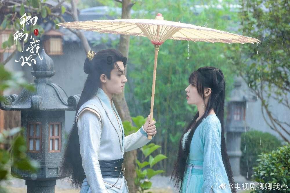 海湾“闪耀开跑” 共享运动乐趣